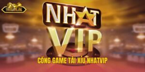 Khám Phá Nhatvip Cho Người Thích Làm Giàu Cá Cược