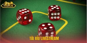 Thử Vận May Với Tài Xỉu Livestream Cực Kịch Tính 2026